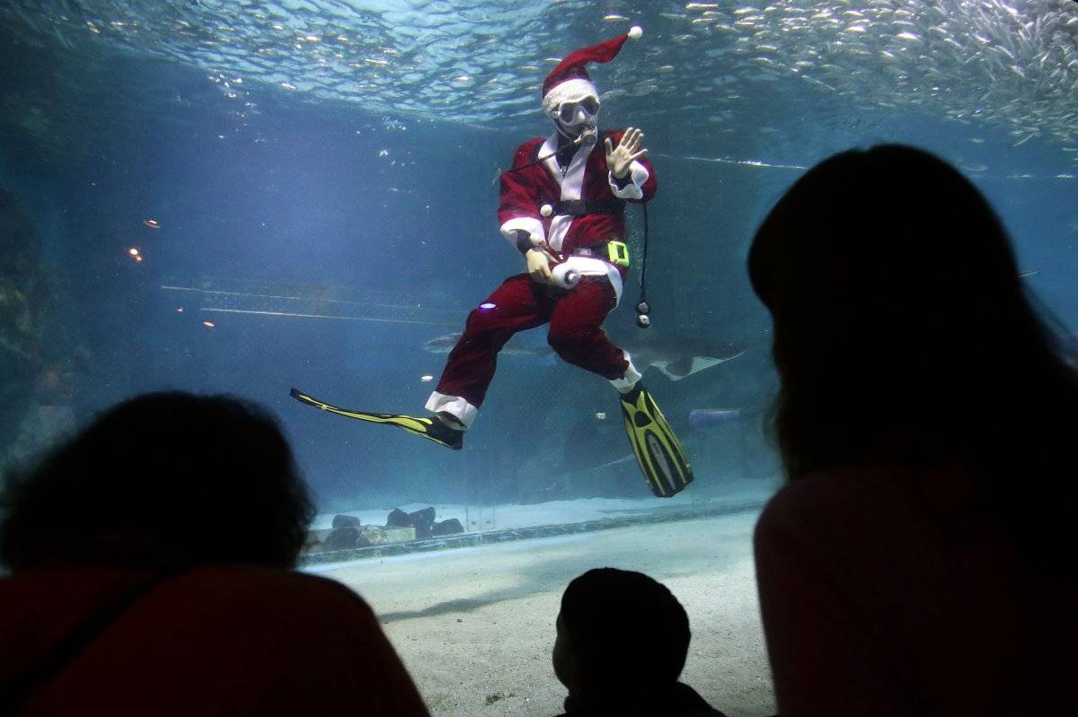 Santa Claus buzo