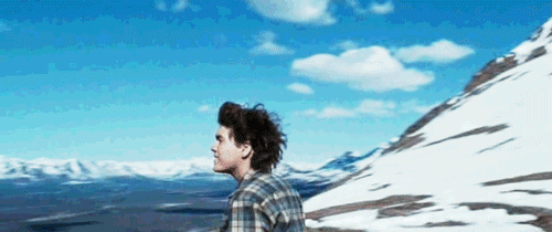 Into The Wild