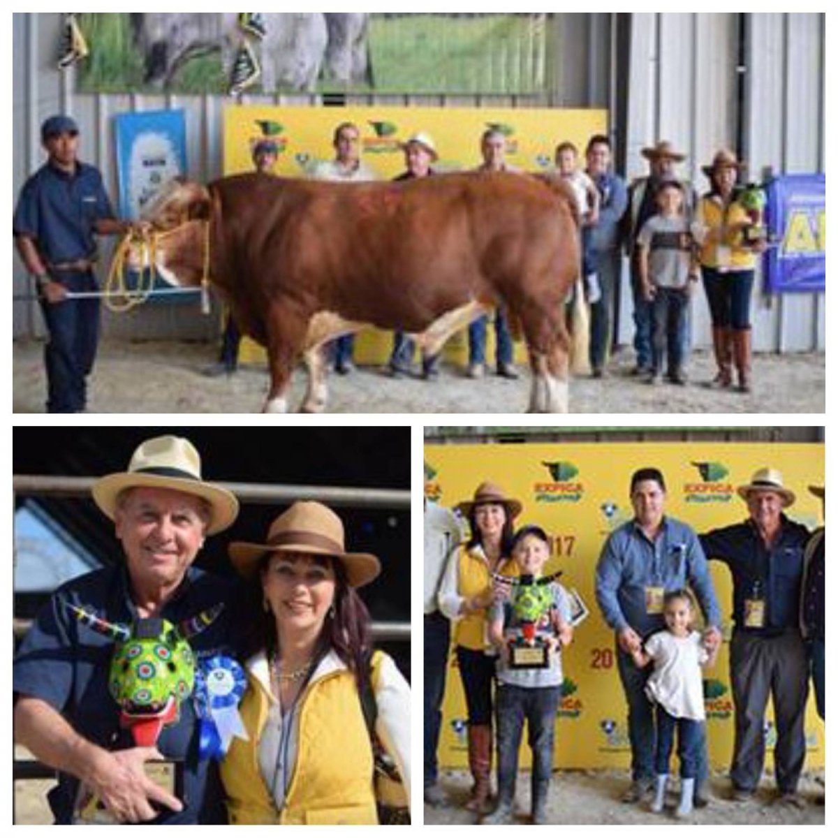 Expoleche 2017