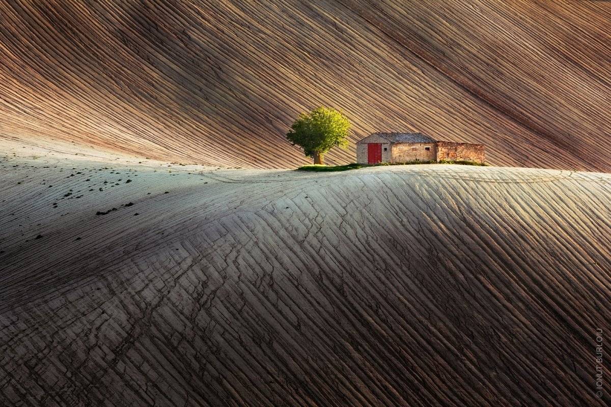 Colores