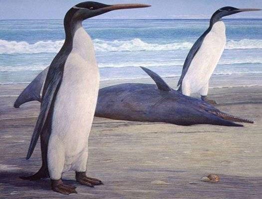 pinguim gigante