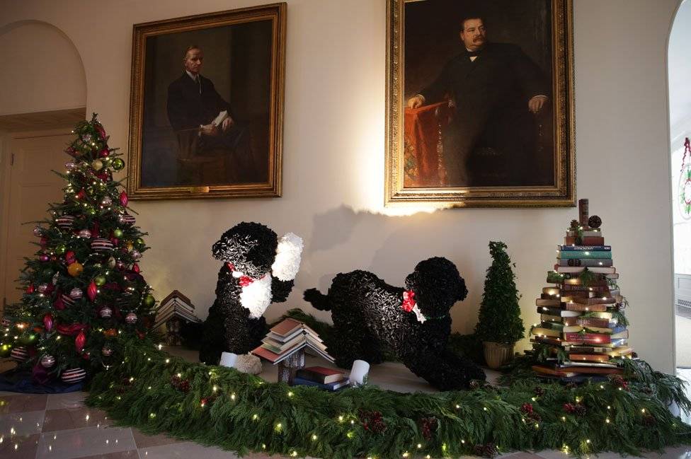 99022140dogs976getty-86e01bc7522bb9d970a74c12818228b9.jpg