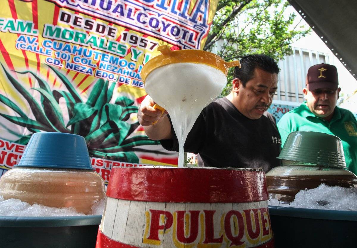 Pulque