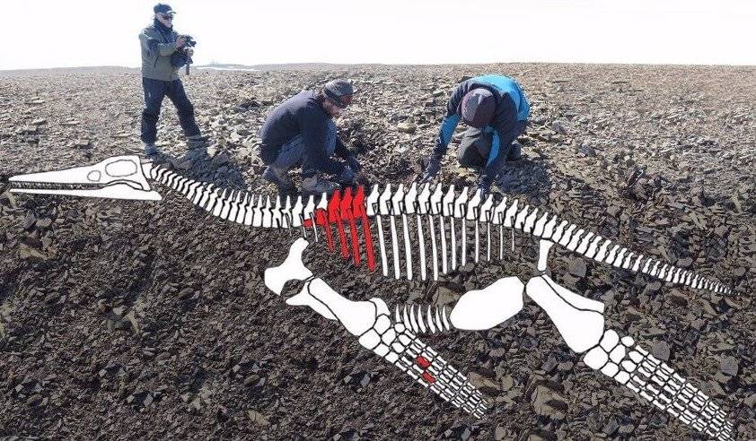Plesiosaurio