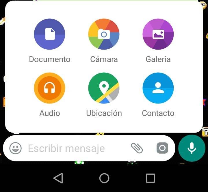 Whatsapp 1