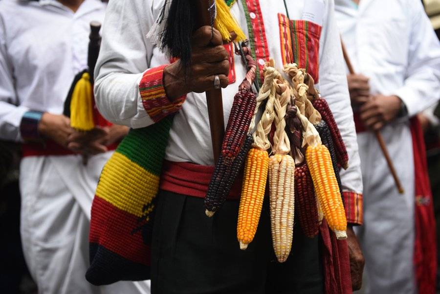 Ritual maya