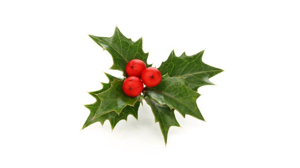 9933831825934d1b3aaf46cea6e22dec9899367e-691ffd984e6711b346664f0b683aa859.jpg