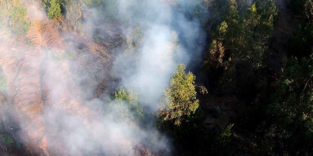 Intendencia declara alerta roja para Chépica por incendio forestal