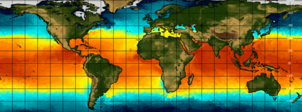 9869159215052113473583120475latestsst-0c17655e4a88e44a4524eddc6ec3a925.gif