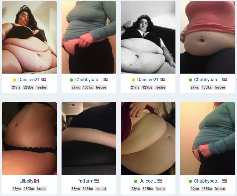 Fantasy Feeder