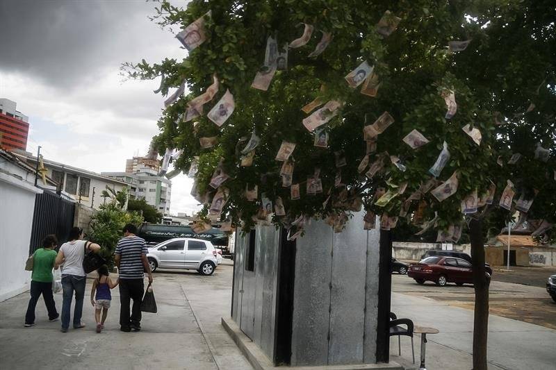 árbol