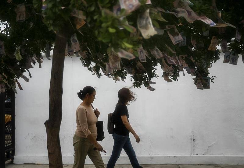 árbol billetes