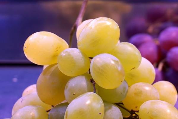 Las 12 uvas de la suerte