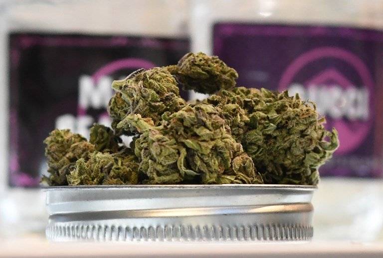 cannabis