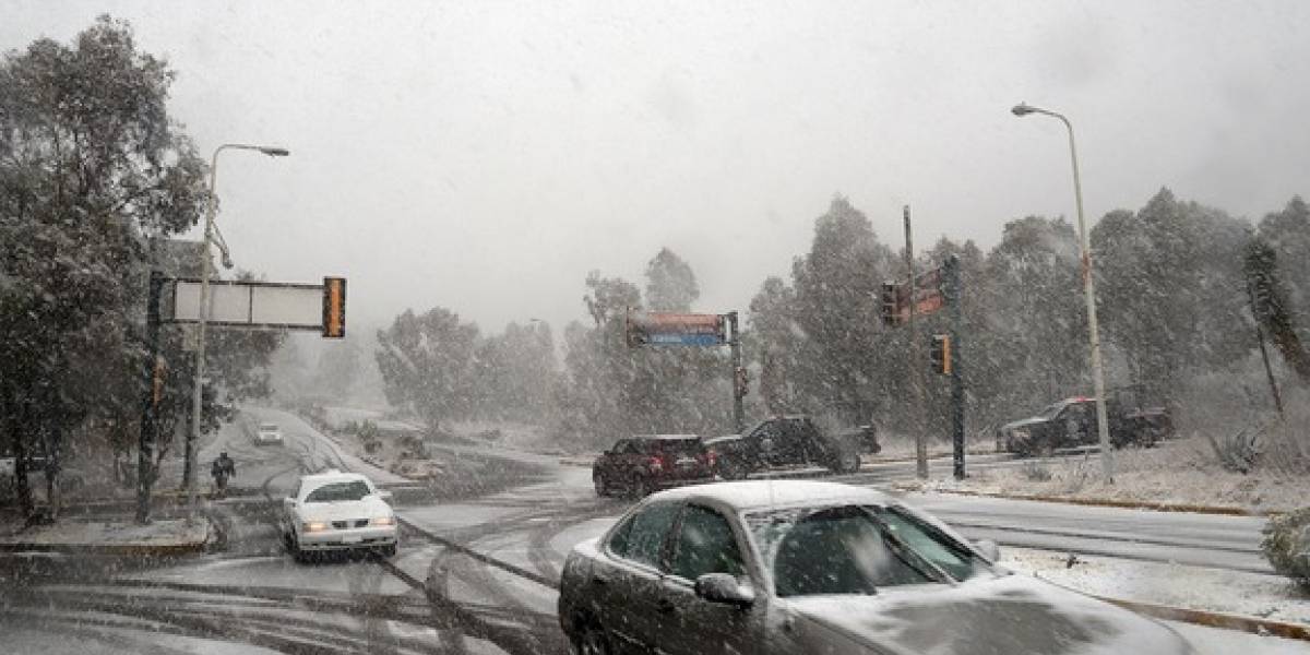 Reporta Ssa 13 muertes en esta temporada invernal Reporta Ssa 13 muertes en esta temporada invernal