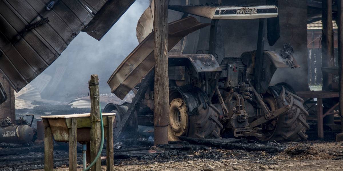 Ataque incendiario afecta empresa forestal de la región de Los Lagos