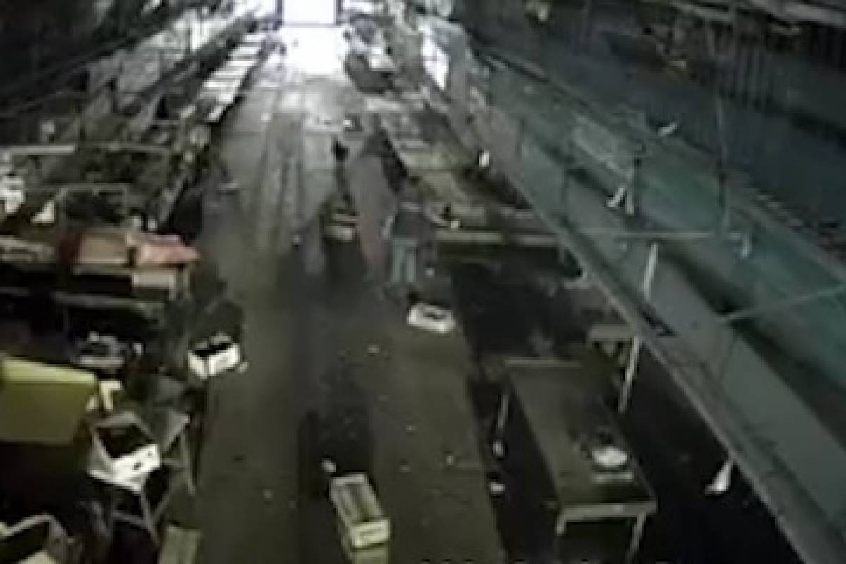 Denuncian cruel maltrato animal en mercado Lo Valledor