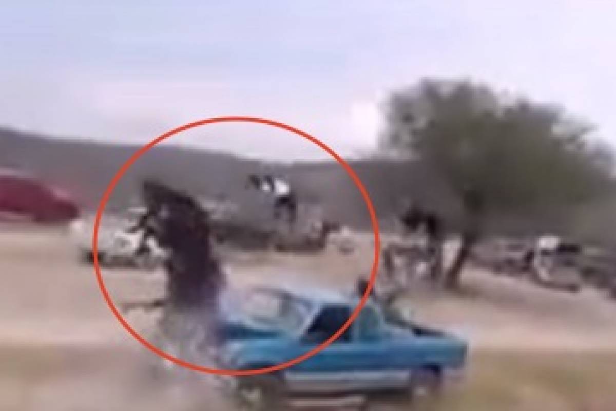 Caballo se estampa contra camioneta y jinete sale volando durante carrera