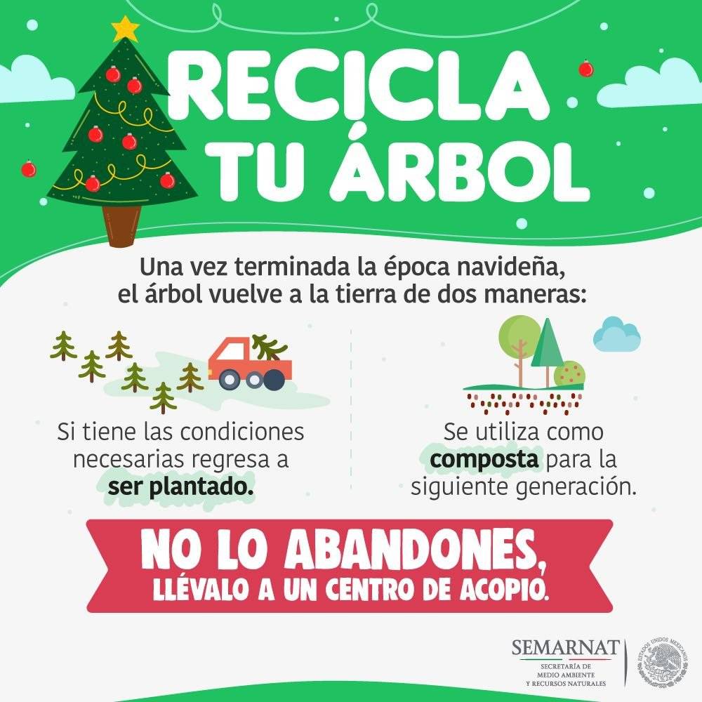 Imagen ilustrativa.