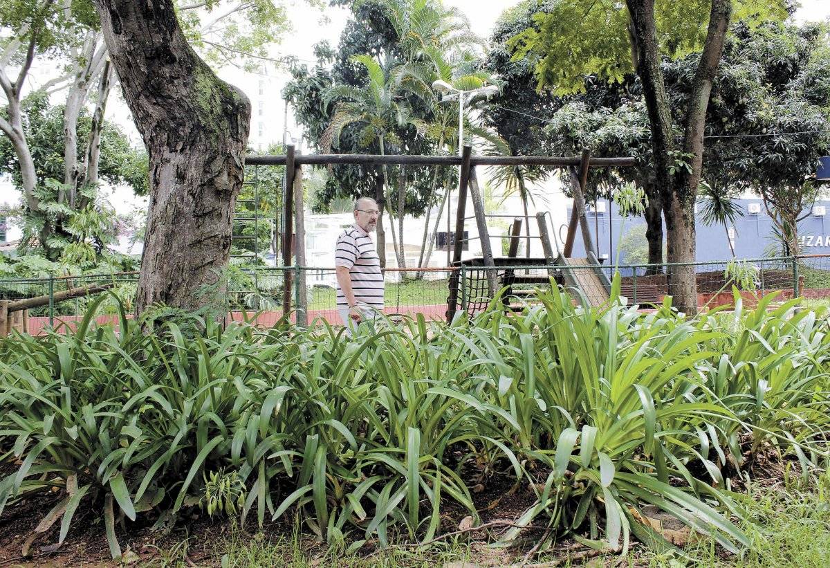 Paisagismo São Caetano