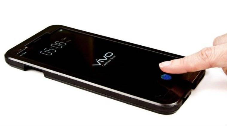 VIVO