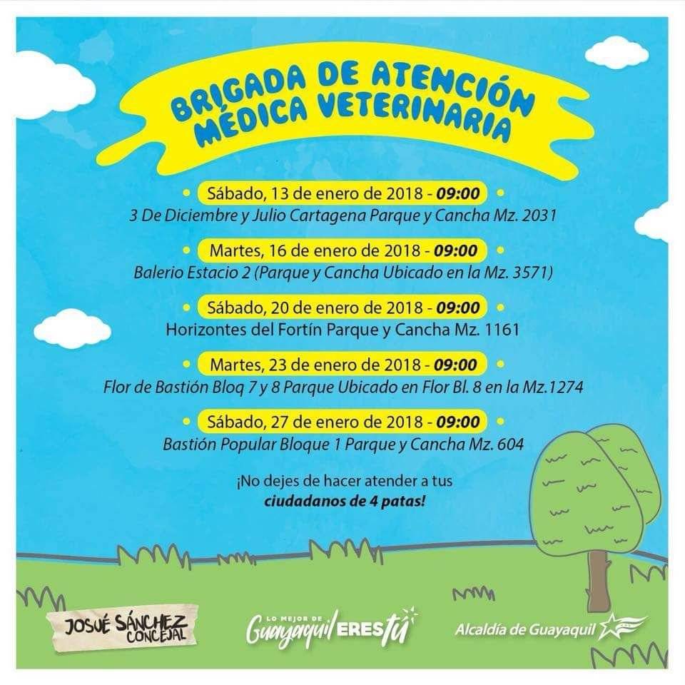 Brigadas veterinarias