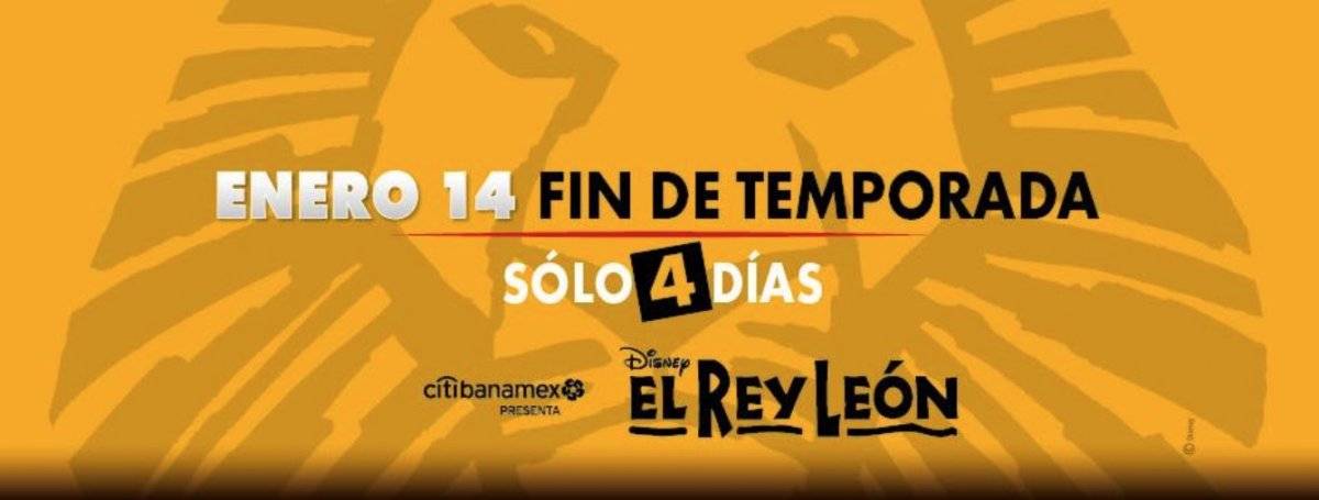 El Rey León