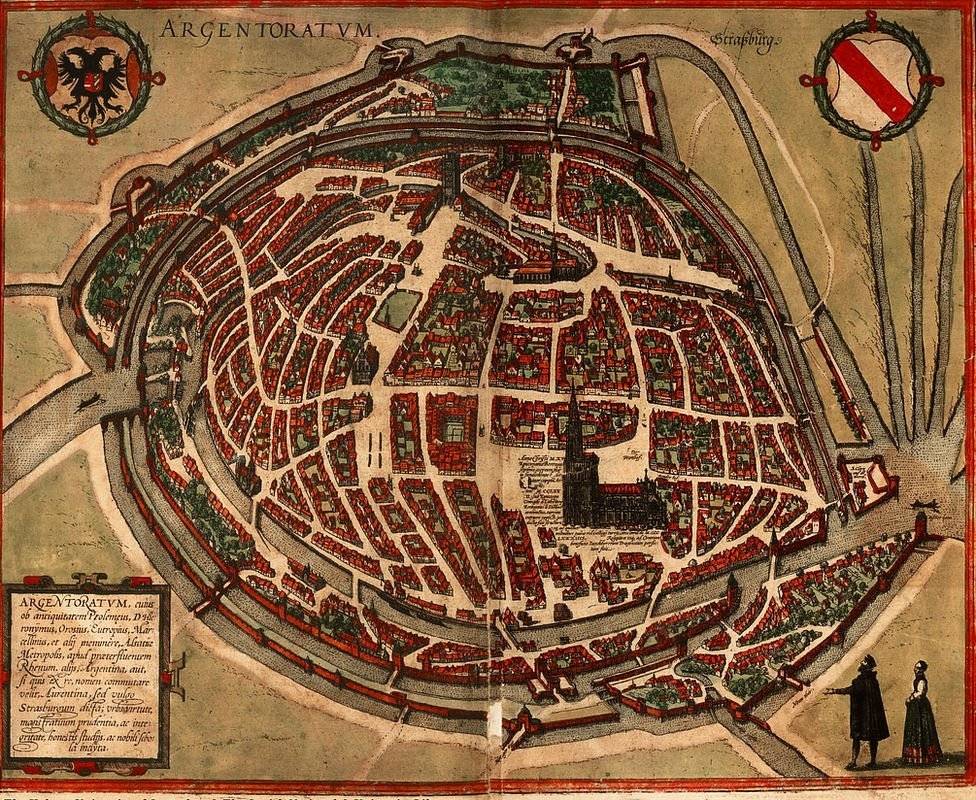 99548265braunhogenbergi33b-3cca61e0ac3ebb1face1ff88974b846d.jpg