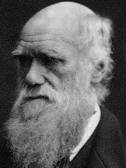 99587934tv001059840-7ec6f17956a8d8acbbf1159ba037f1e5.jpg