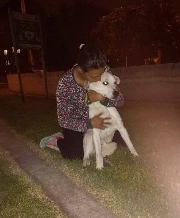Perro Abandonao