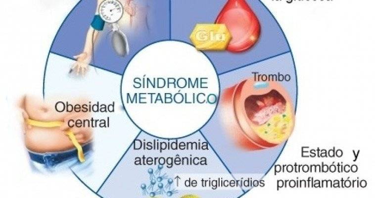 sndromemetablico-cb6cd6a76c803f8cd15cb11449cf4201.jpg