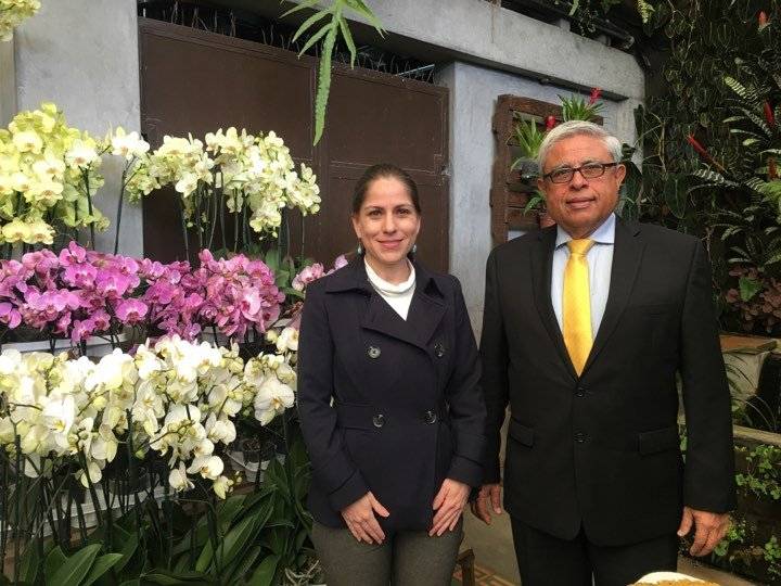 Orquídeas