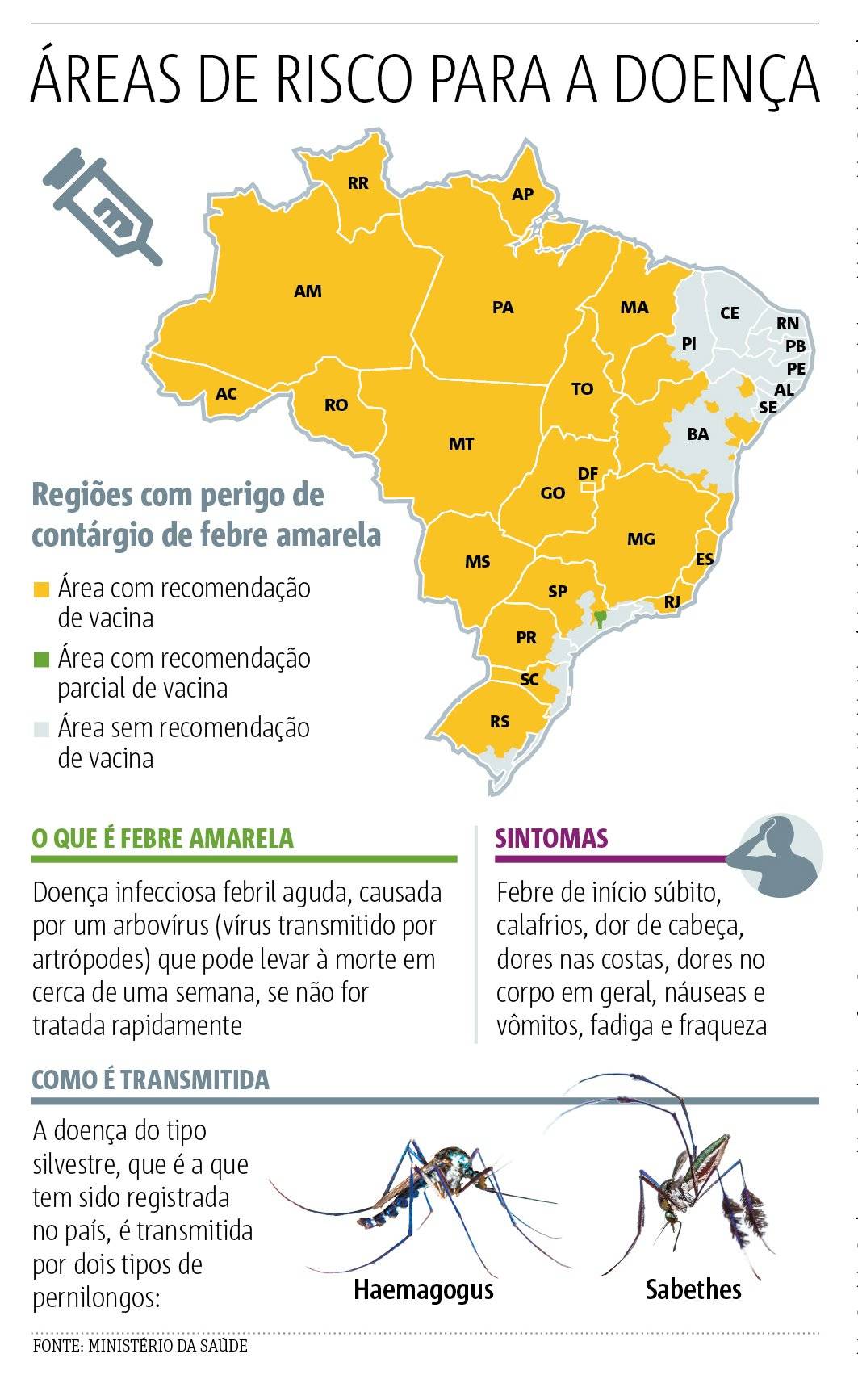 Arte febre amarela