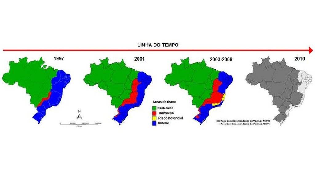 99530627febreamarelabrasil-485ea7680f6182b0d9098bb9f3dfe429.jpg