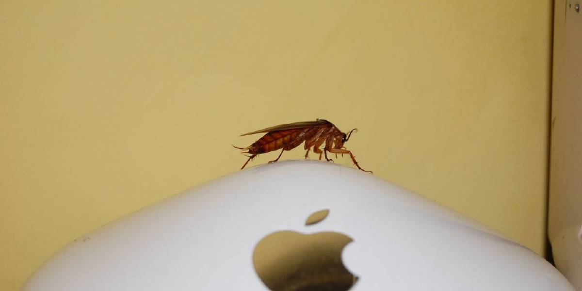 Científicos desarrollan robots en forma de cucaracha con capacidad todo terreno