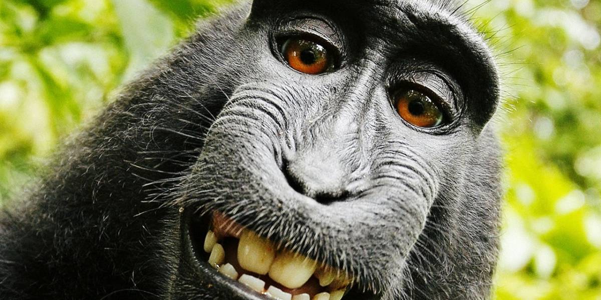 Los hombres que se toman más selfies son más propensos a ser psicópatas