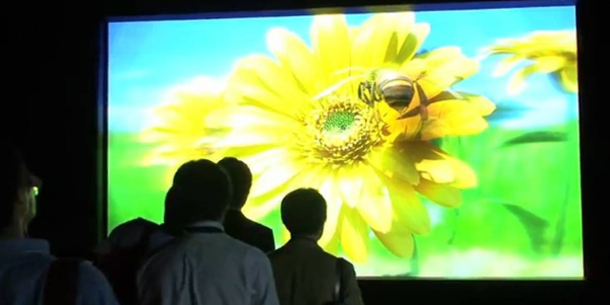 Observad la pantalla 3D sin gafas más grande del mundo