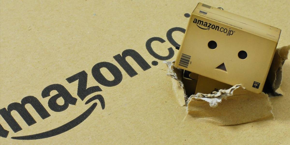Amazon se cayó de la manera más rara posible