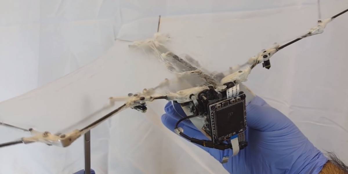 Crean murciélago robótico que puede volar como uno real