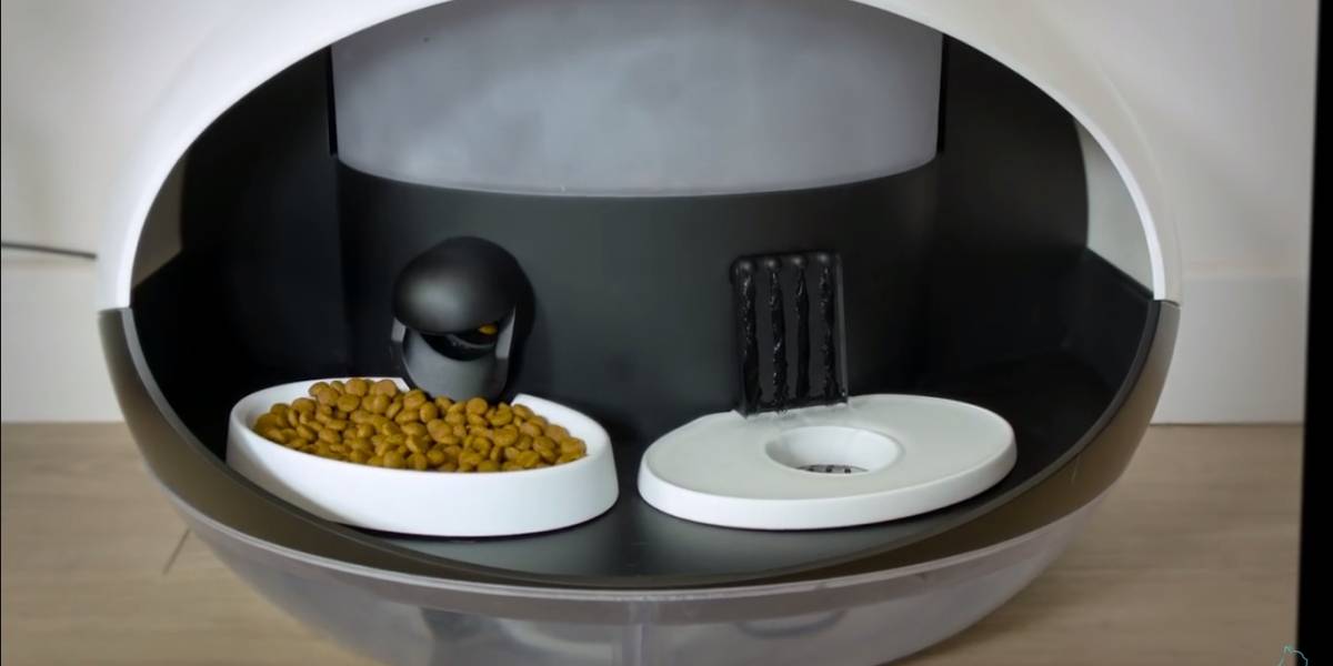 Ahora puedes alimentar a tu gato a distancia #CES2017