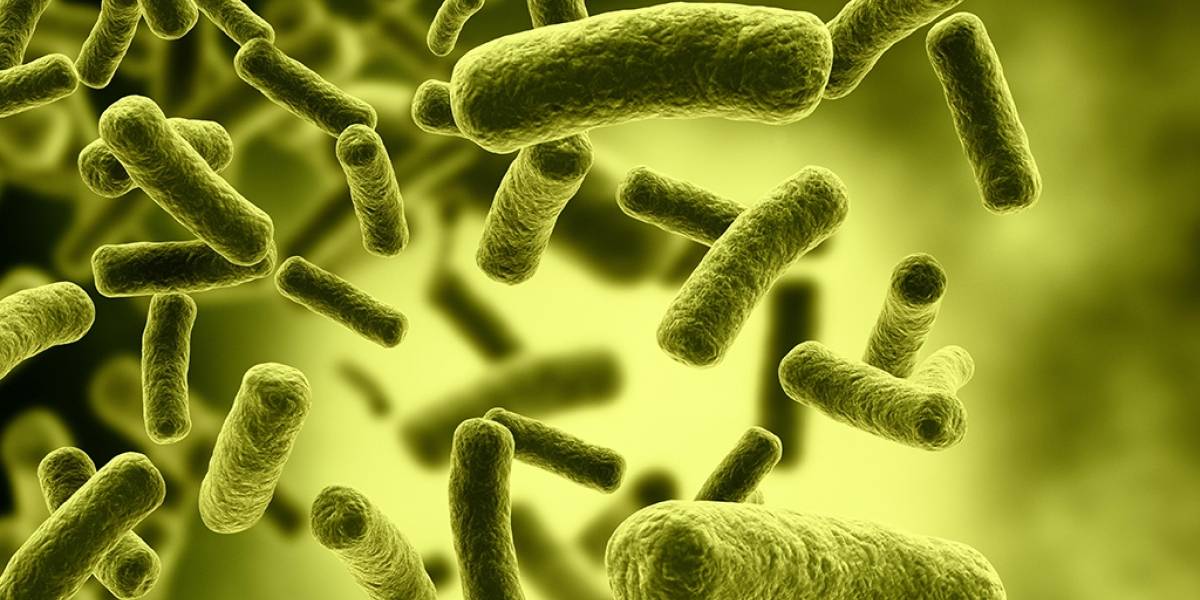 Laboratorio de probetas podría llevar vida a otros planetas sin necesidad de humanos