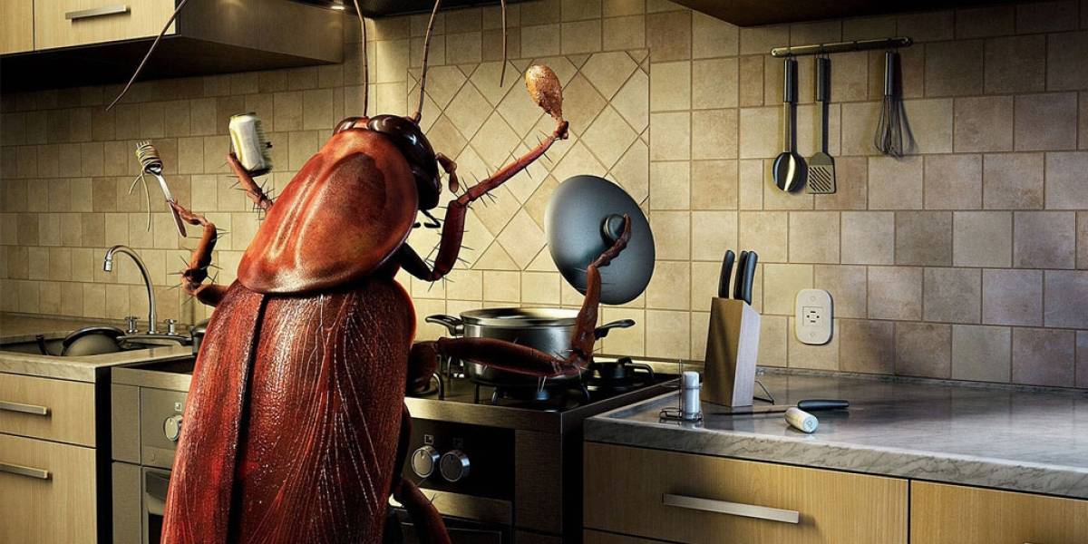 Científicos concluyen que la leche de cucaracha es buena para humanos