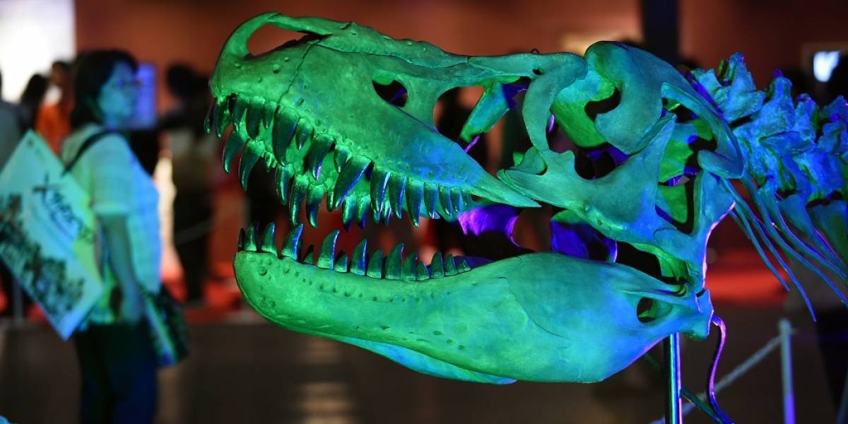 Apenas hemos descubierto la mitad de las especies de dinosaurios existentes