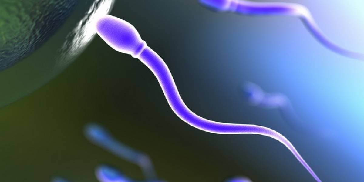 Padres más viejos tienden a heredar más mutaciones