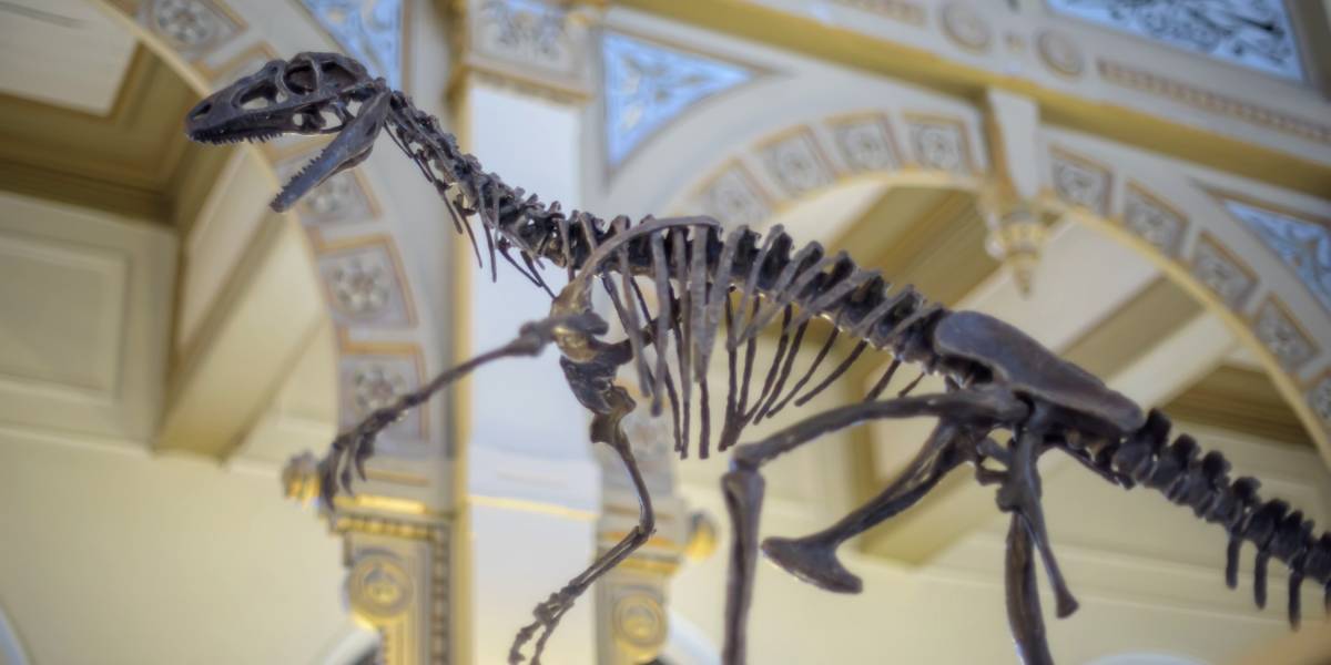 Preparan exposición sobre dinosaurios sudamericanos con Realidad Aumentada