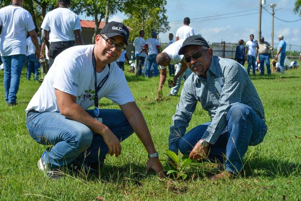 Jornadas de reforestación