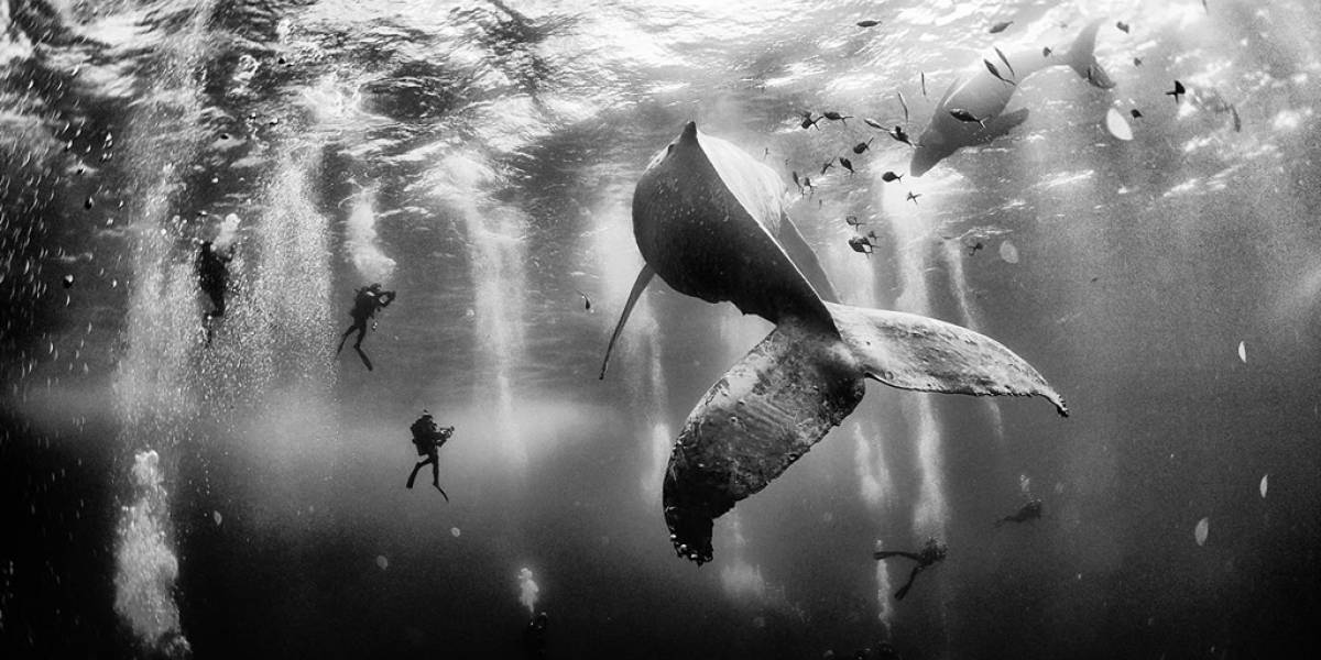 Esta es la foto ganadora del National Geographic Traveler Photo Contest 2015