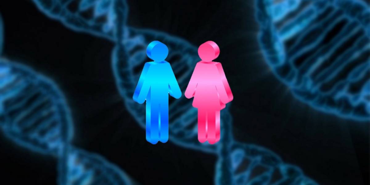 La evolución y genética hacen que las mujeres vivan más que los hombres