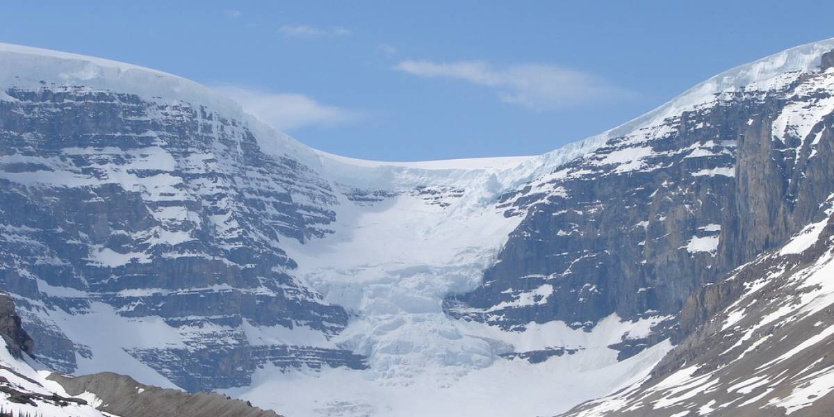 Planta que estuvo congelada bajo un glaciar por cientos de años revivió