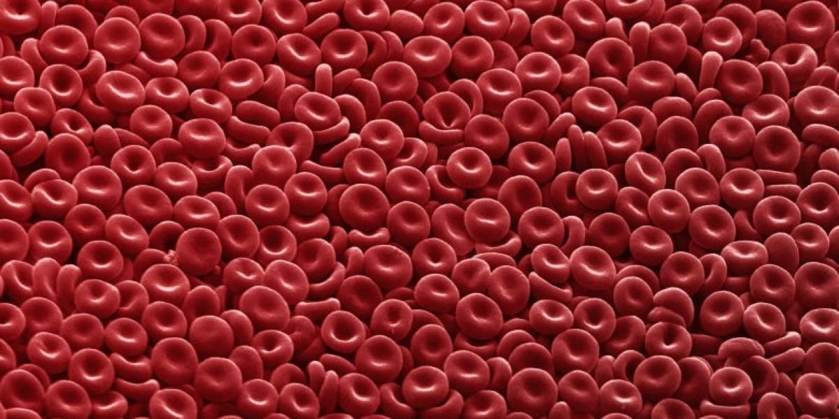 Buscan crear sangre artificial ilimitada para transfusiones sensibles